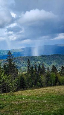 Ormanın kenarındaki dağdan manzara