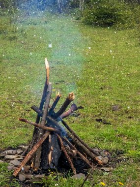 Ormanda yanan odun ve ateş.
