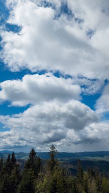 Arkasında bir dağ olan güzel bir manzara.