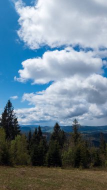 Mavi bulutlu gökyüzünün altındaki ormanın tepelerinin güzel bir görüntüsü.