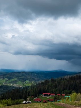 Ormanın güzel bir görüntüsü ve yeşilliklerle kaplı bir tarla.