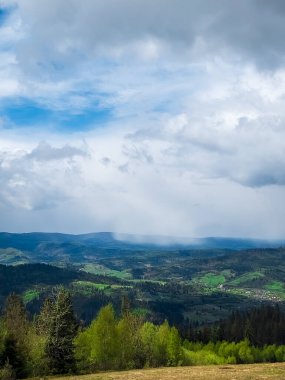 Mavi gökyüzü ile yeşil tarlanın güzel manzarası