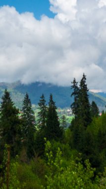 Arkasında yeşil çimenler ve bulutlu bir gökyüzü olan bir dağ manzarası.