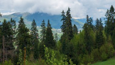 Tepeden tırnağa manzara