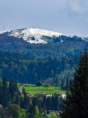 Ağaçlı ve yeşil ormanlı güzel dağ manzarası