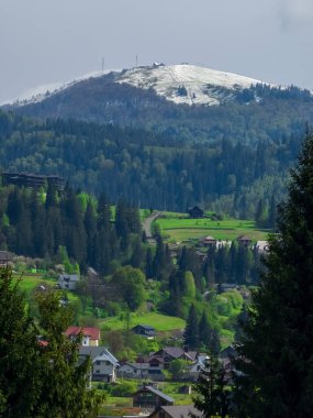 Ormandaki karla kaplı dağ zirvesi.