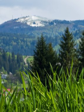 Bulutlu gökyüzünün altında yeşillikle kaplı güzel bir dağ manzarası.