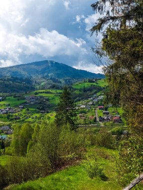 Yaz günü Karpat köyü manzarası