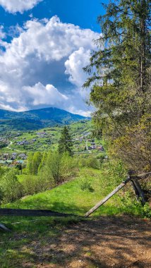 Ormanın tepesindeki tahta çitin dikey görüntüsü.