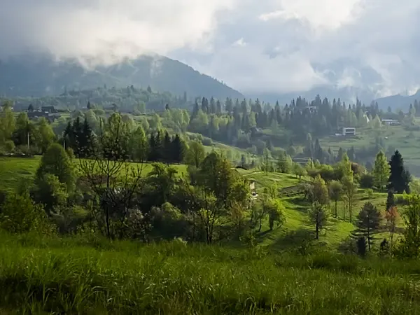 Bir köyde yeşil çayır