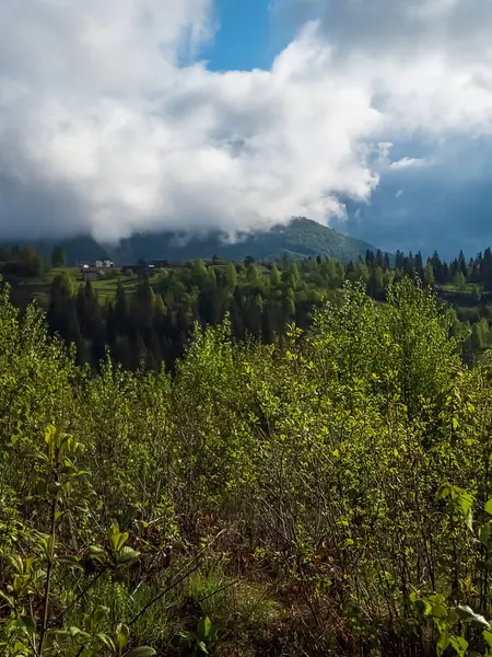 Doğanın güzel manzarası