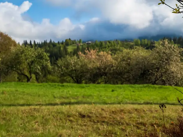 Yeşil ağaçları ve mavi gökyüzü olan güzel bir manzara.