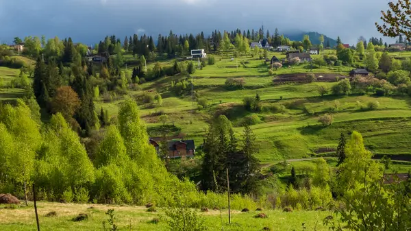 Ormanda dağı olan küçük bir köy manzarası.