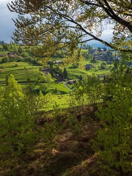 Yeşil tarlası ve mavi gökyüzü olan güzel bir manzara.