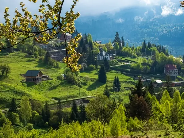 Dağları olan güzel bir manzara