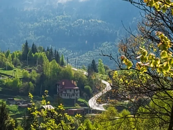 Doğanın güzel manzarası