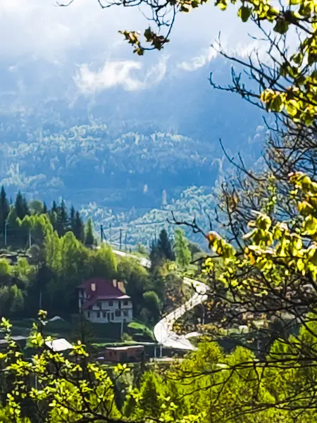 Ağaçlar ve yapraklarla dolu güzel sonbahar manzarası