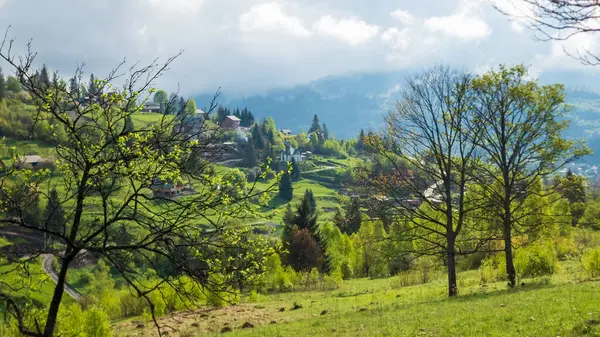 Dağların güzel manzarası