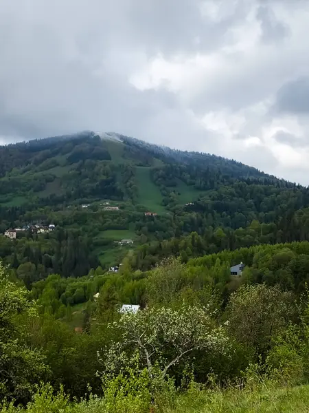 Yazın Sokovo köyünün manzarası