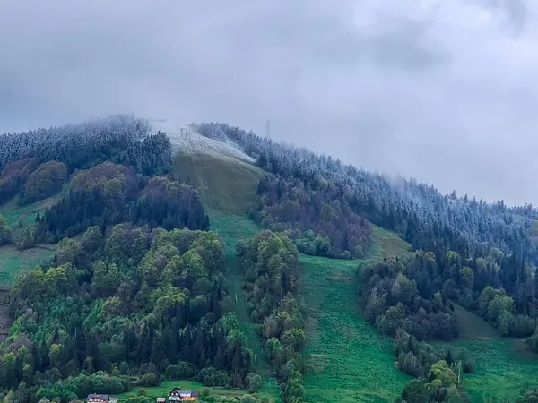 Karpatya, Romanya 'da güzel bir dağ manzarası