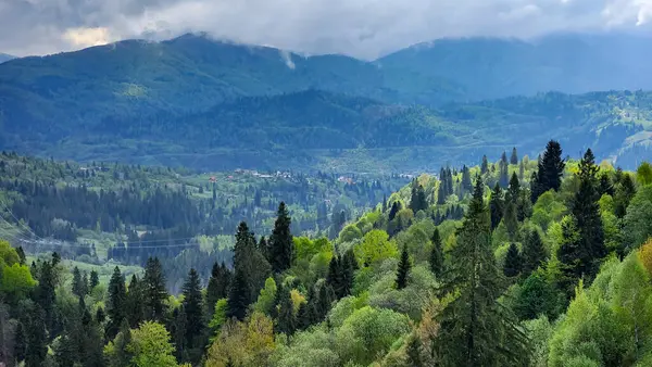 Dağları ve ormanı olan güzel bir manzara.
