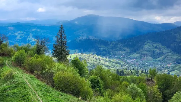 Yeşil çimenler ve dağlarla güzel bir yaz manzarası