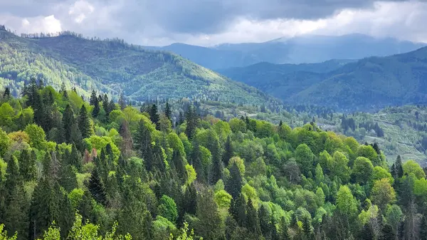 Ormandaki dağ sırasının güzel manzarası