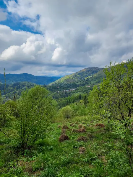 Tepede yeşil ağaçlar ve ormanlar olan güzel dağ manzarası