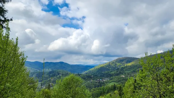Karpat dağlarında güzel bir yaz manzarası