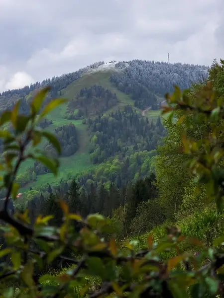 Karpat dağlarındaki dağ manzarası
