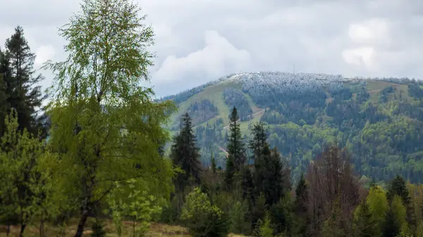 Karpatlar 'da dağ manzarası