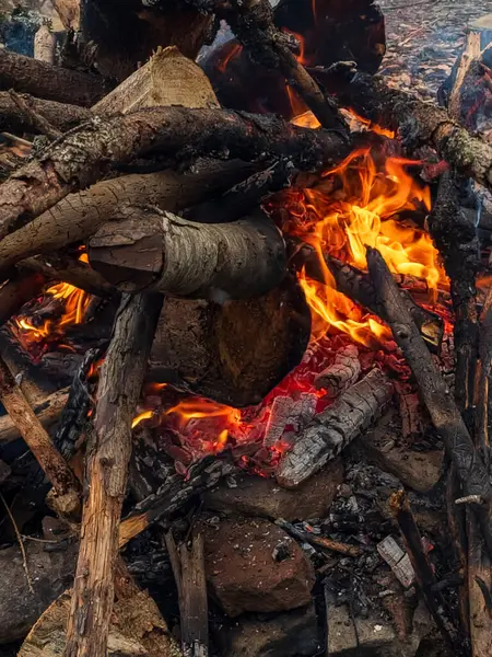 Ormanda ateş kömürü