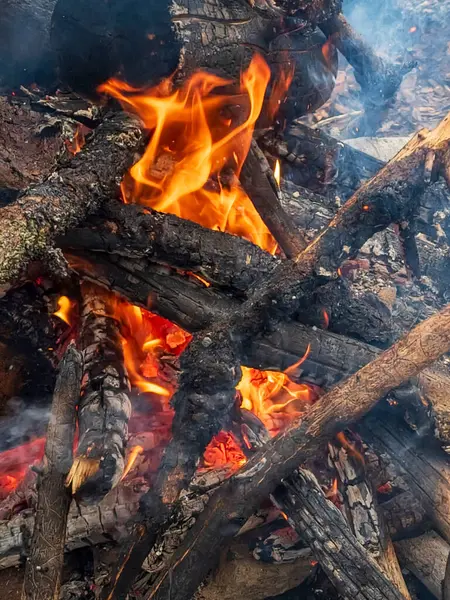 Ormanda şenlik ateşi