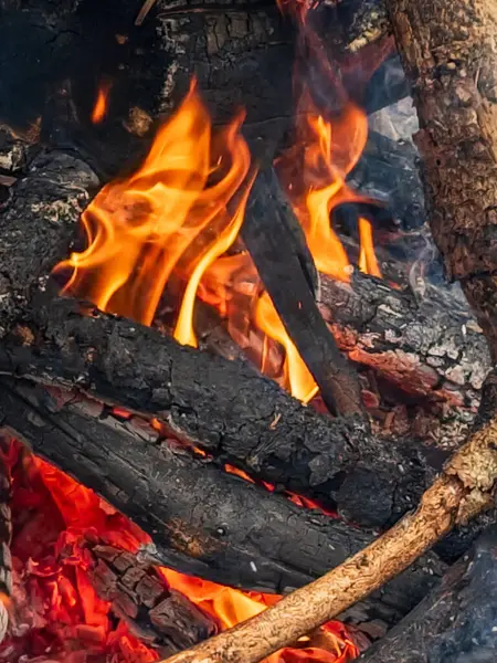 Ormanda yanan ateşin yakınında.