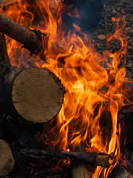 Ormanda yanan ateşin dikey bir fotoğrafı..