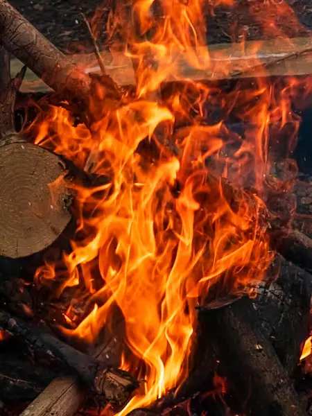 Yangın ve bir siyah arka plan üzerine alevler