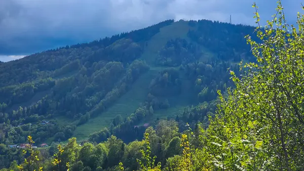 Karpat Dağlarının güzel manzarası