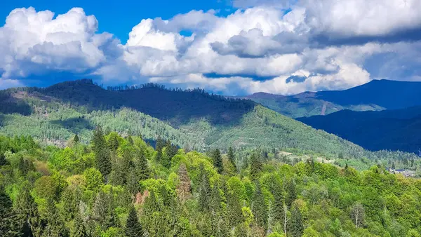 Orman ve mavi gökyüzü arkaplanlı güzel dağ manzarası