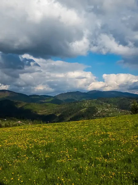 Yeşil çimenler ve mavi gökyüzü olan bahar manzarası. Güzel Karpat Dağları. Ukrayna, Avrupa.