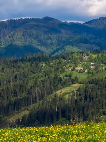 Karpat dağlarında ilkbahar