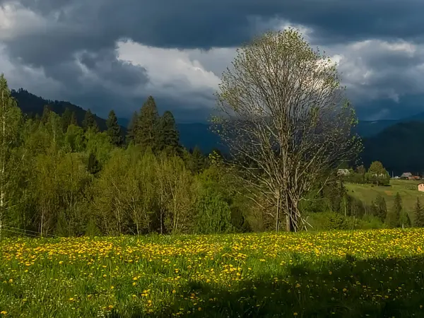 Dağların güzel manzarası