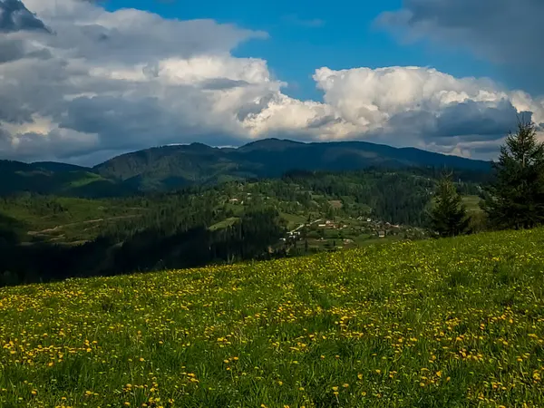 Yazın güzel Karpat dağları manzarası