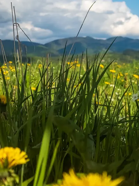 Dağların güzel manzarası