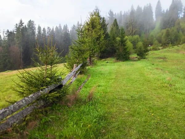 Sabahları dağ manzarası