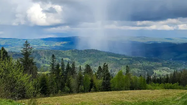 Karpatlar 'da dağlarla ve bulutlarla kaplı yaz manzarası