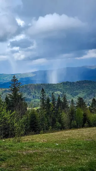 Ormanın kenarındaki dağdan manzara