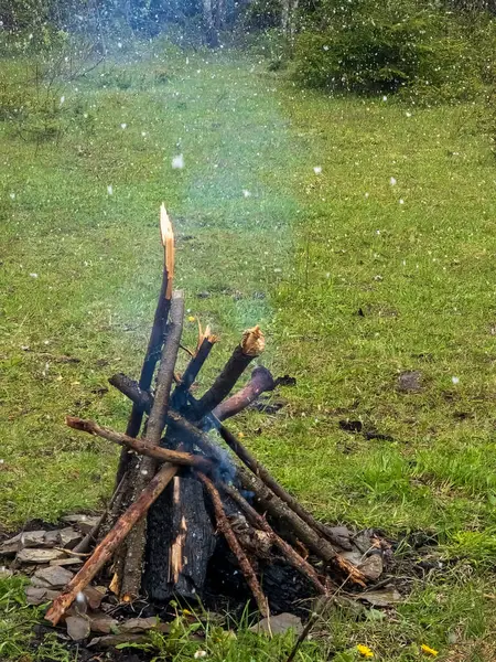Ormanda yanan odun ve ateş.
