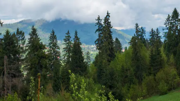 Tepeden tırnağa manzara
