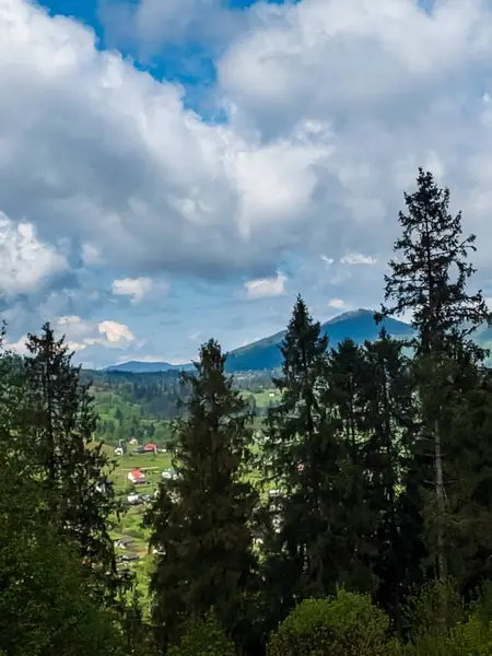 Yeşil ormanlı güzel bir yaz dağı manzarası