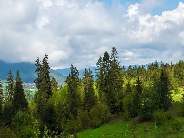 Yeşil çayırı ve arka planda küçük bir köyü olan bir tepeden manzara.